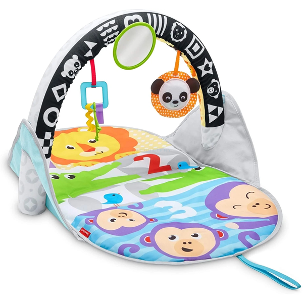 Fisher-Price FXC14 salteluțe și spații de joacă pentru copii Multicolor