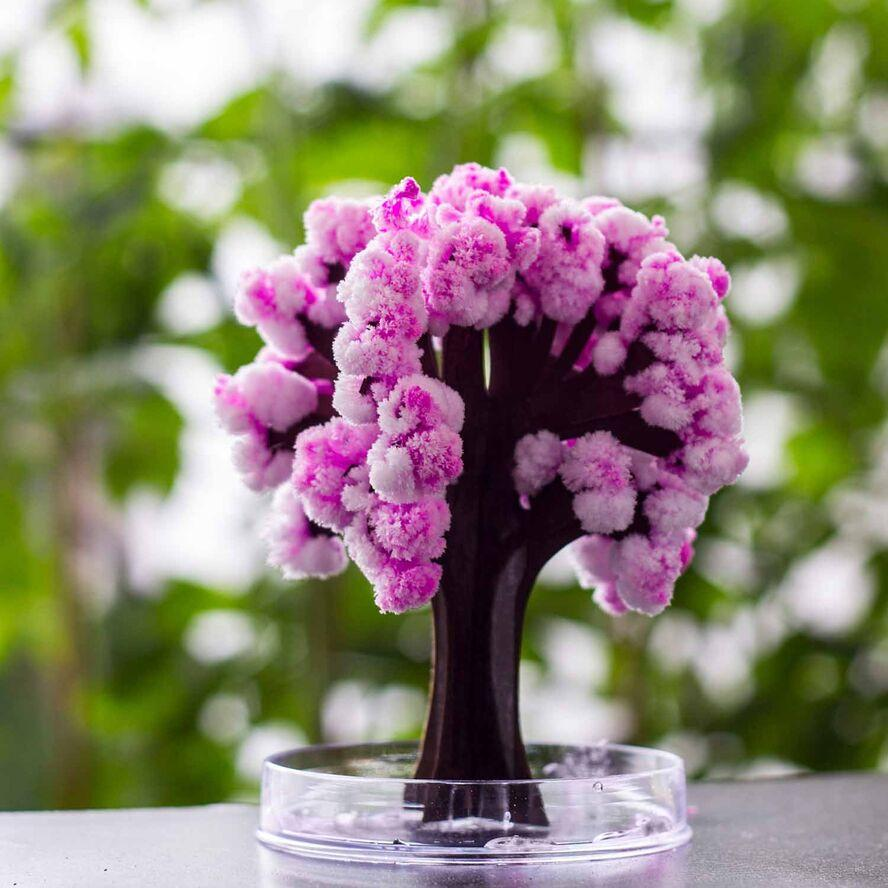 Mad Monkey - Magic Sakura, Kirschblütenbaum (2000001)