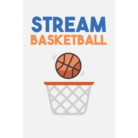 Stream Basketball (PC - Steam elektronikus játék licensz)