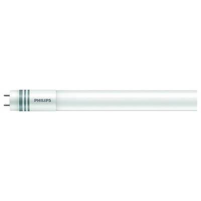 Signify 20004300 Izzólámpa EEK D (A - G) G13 Cső forma 23 W Semleges fehér (Ø x H) 28 mm x 1514 mm 1 db (20004300)