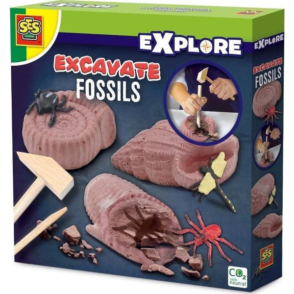 SES Creative Explore Excavate fossils