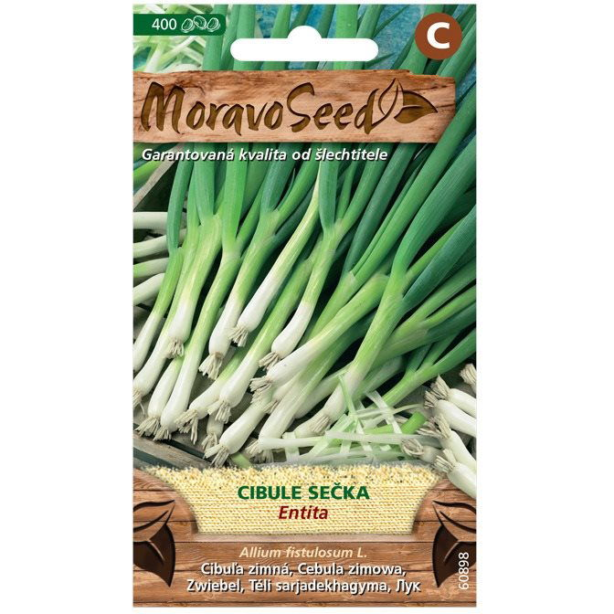 Téli hagyma ENTITA (0468mm)