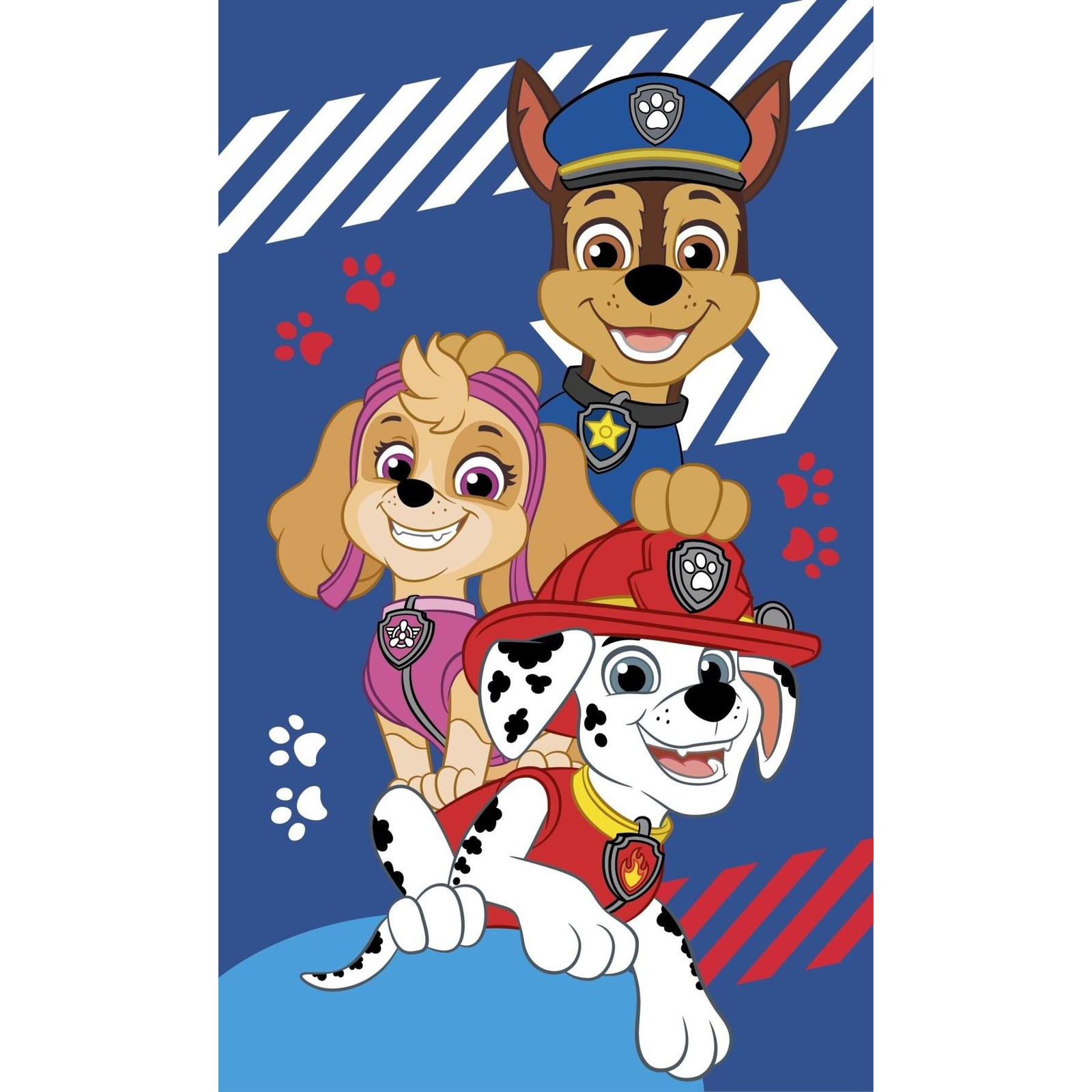 Jerry Fabrics Baby Towel Paw Patrol Blue 30 × 50 cm (040134-PAWPATBLUA)