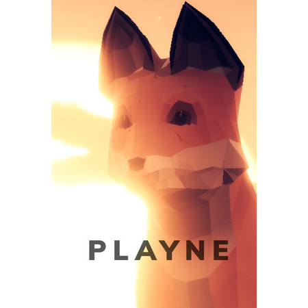 PLAYNE : The Meditation Game (PC - Steam elektronikus játék licensz)
