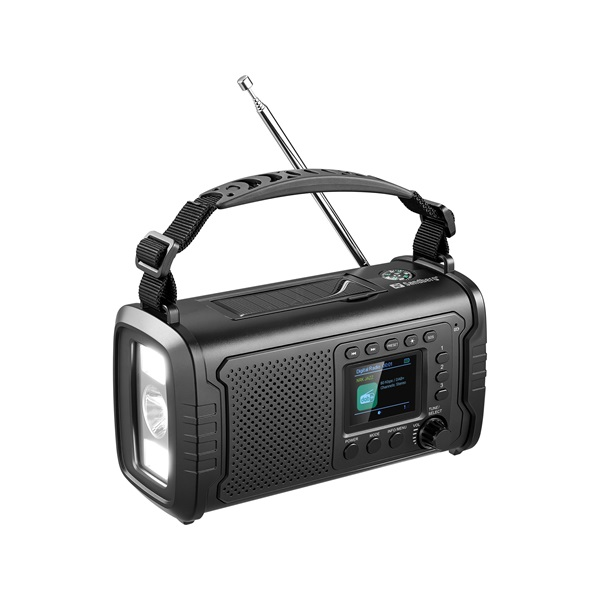 Sandberg 421-38 radio Portatile Analogico e digitale Nero