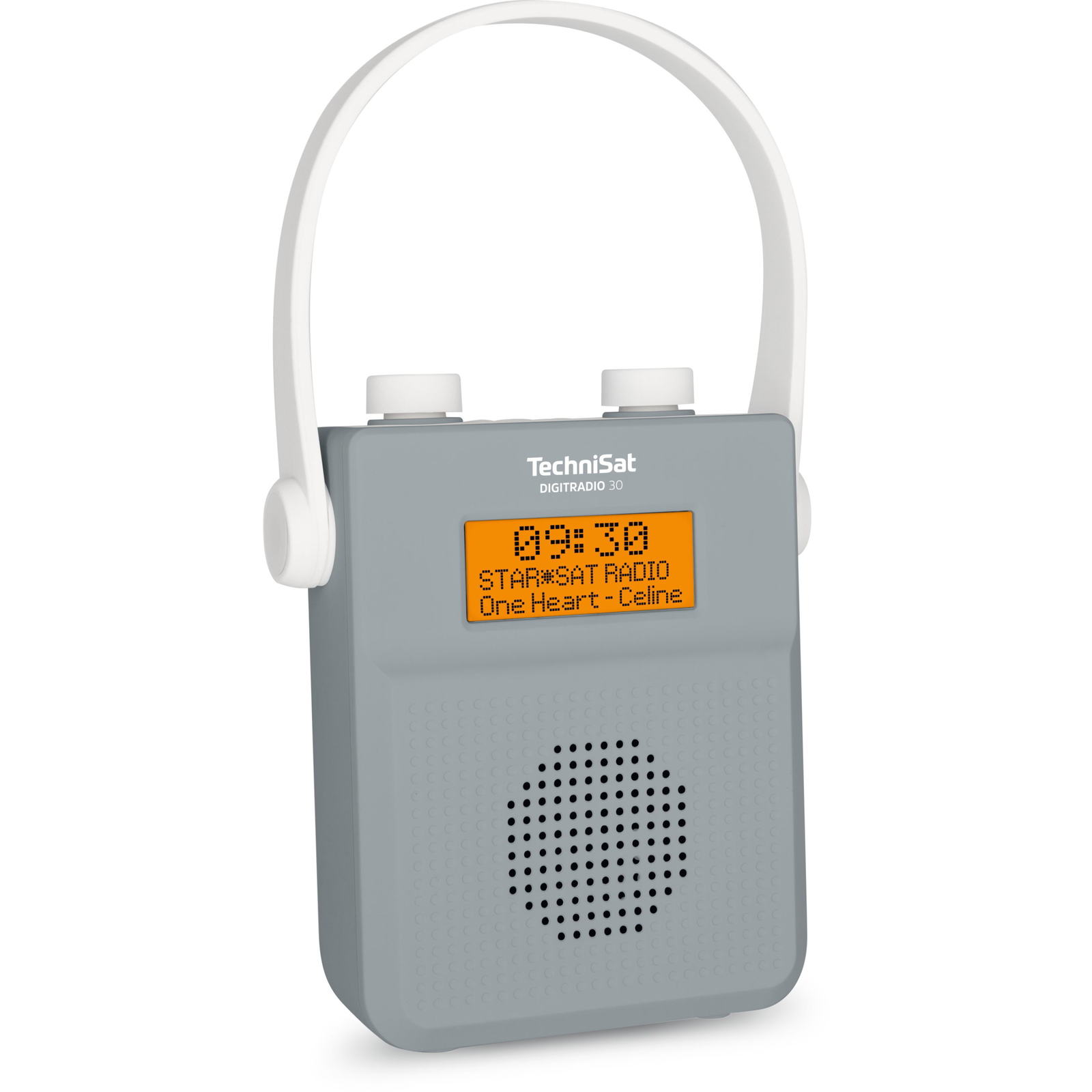 TechniSat DigitRadio 30 Rádió Szürke (0000/3955)