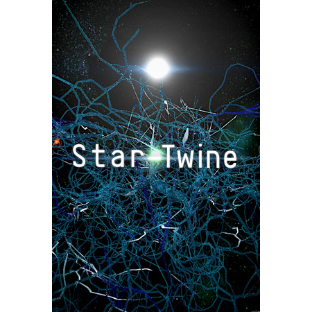 Star-Twine (PC - Steam elektronikus játék licensz)