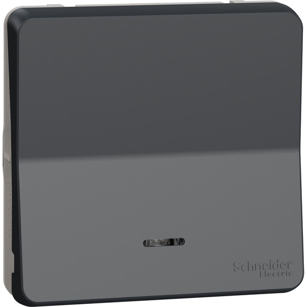 Pulsador Mureva Gris Con Led, Ip55, 10 A Y 250 V Ac, Para Interiores/exteriores.