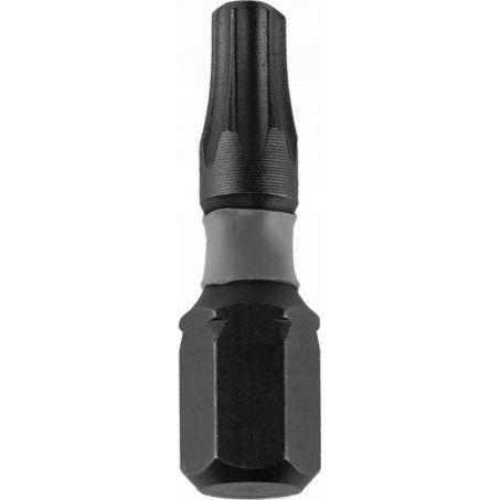 Dedra Bit Behajtó Torx T40x25 mm 1/4" 2 db (18A53T400-02)