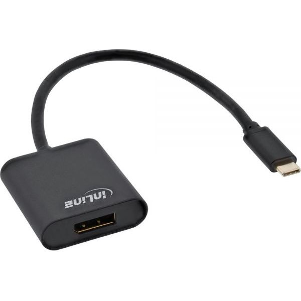 InLine 64102B video átalakító kábel 0,2 M USB C-típus DisplayPort Fekete (64102B)