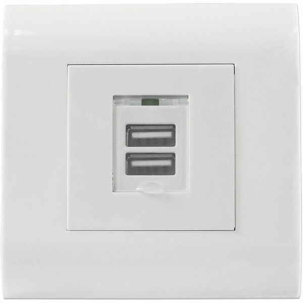 Intellinet 772211 presa energia USB A Bianco
