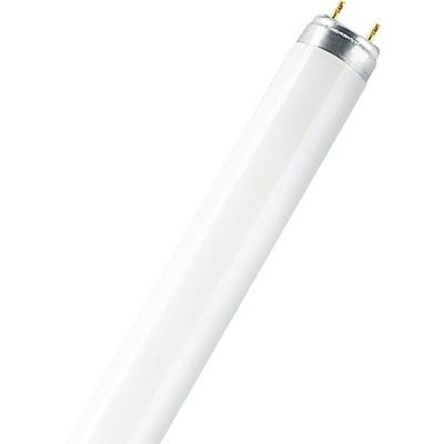 OSRAM Fénycső EEK: A (A++ - E) G13 36 W Cső forma (O x H) 26 mm x 1200 mm 1 db (4050300325699)