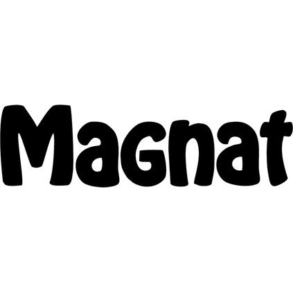Magnat Monitor S80 ATM dió álló hangfal 1 db