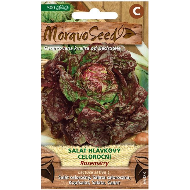 MORAVOSEED Fejes saláta egész évben termő piros ROSEMARRY (3547mm)