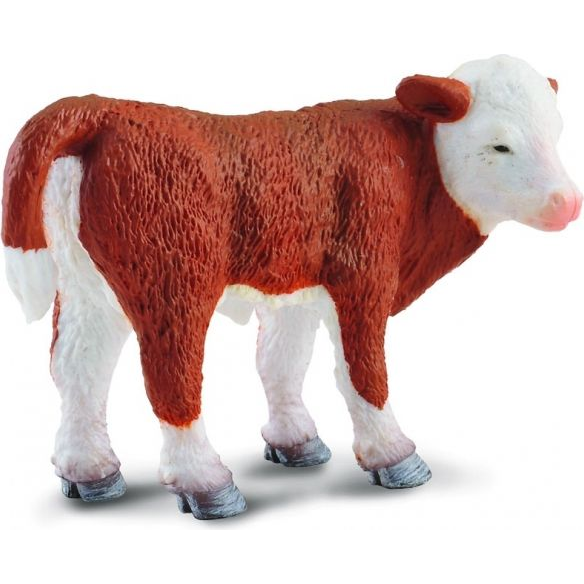 Figurka Collecta Cielę Stojące Rasy Hereford Rozmiar S