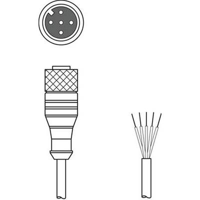 Leuze Electronic 50137013 Csatlakozóvezeték 1 db (50137013)