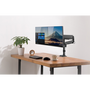 InLine 23160B sistem montare monitor/stand 43,2 cm (17") Birou Negru