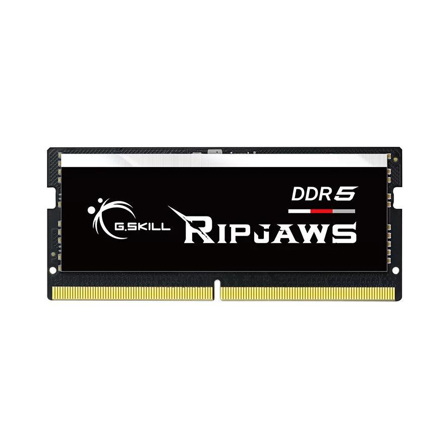 Pamäť RAM DDR5 G.SKILL 16 GB 5600 (F5-5600S4040A16GX1-RS)