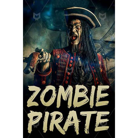 Zombie Pirates (PC - Steam elektronikus játék licensz)