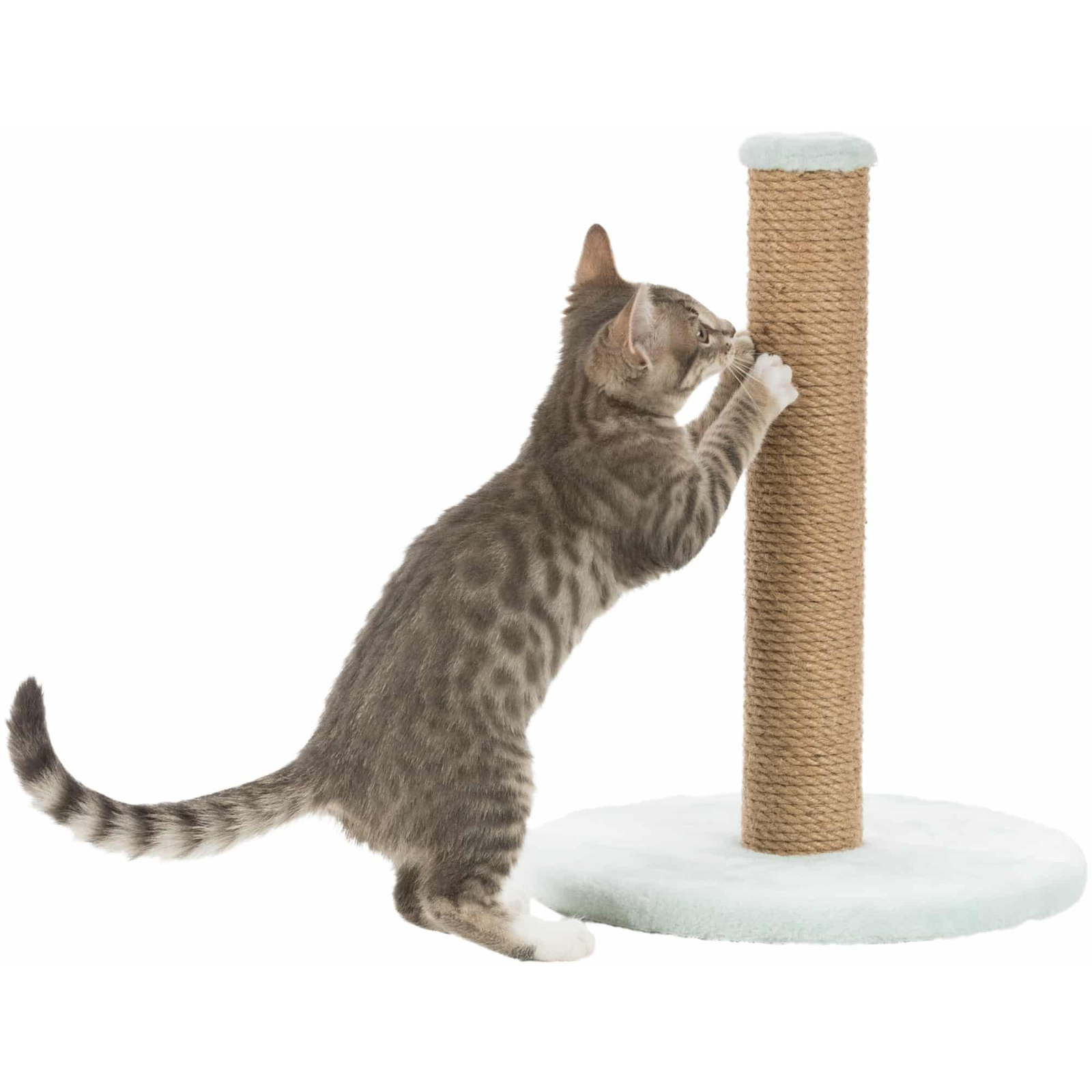 Trixie 108777 Macska Körömélező kaparófa oszlop 42 cm - Barna (108777)