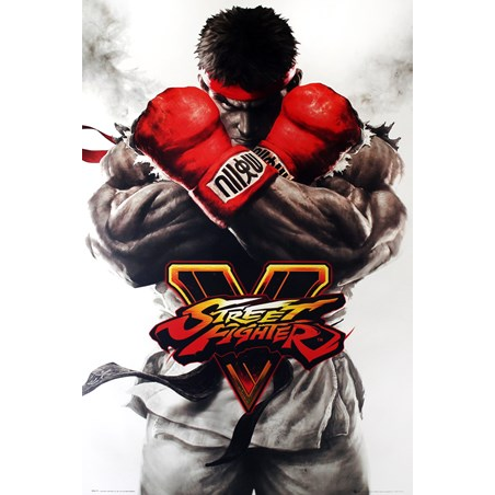 Street Fighter V (PC - Steam elektronikus játék licensz)