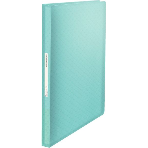 Esselte Portalistino Colour'Ice portalistino di presentazione 80 tasche A4