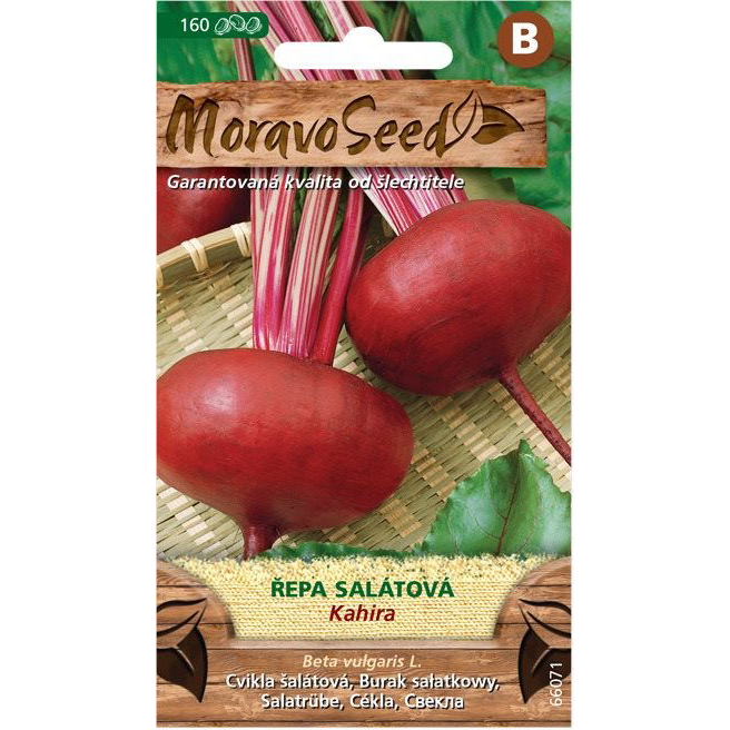 MORAVOSEED Cékla KAHIRA, lapos (3194mm)