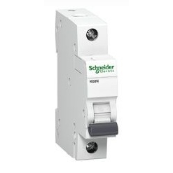 Schneider Electric A9K02125 zekering Ministroomonderbreker Type C 1