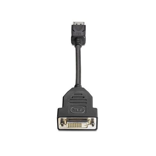 HP DisplayPort to DVI-D Adapter 0,19 m Schwarz