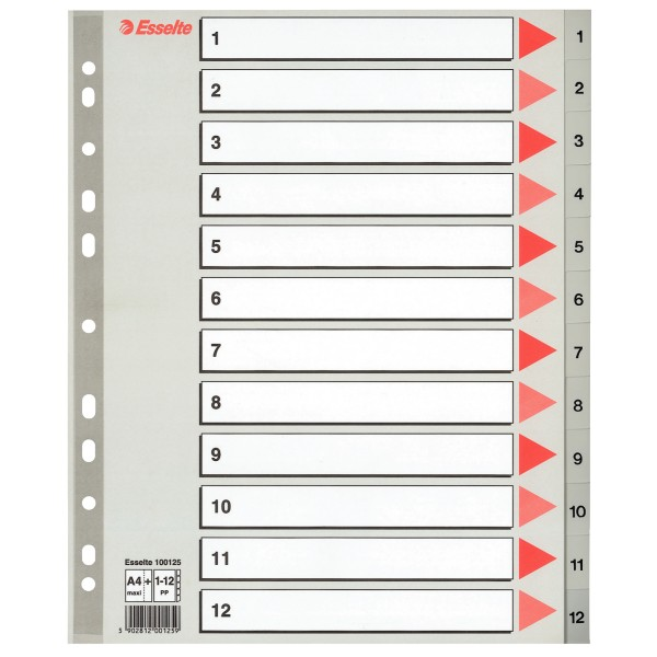 Esselte A4+ Műanyag regiszter - Szürke (100125)