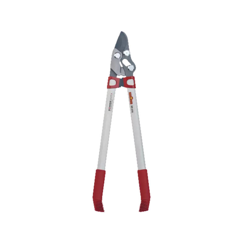 WOLF-Garten Power Cut RR 650 Kettős vágóélű ágvágó (73CGA004650)