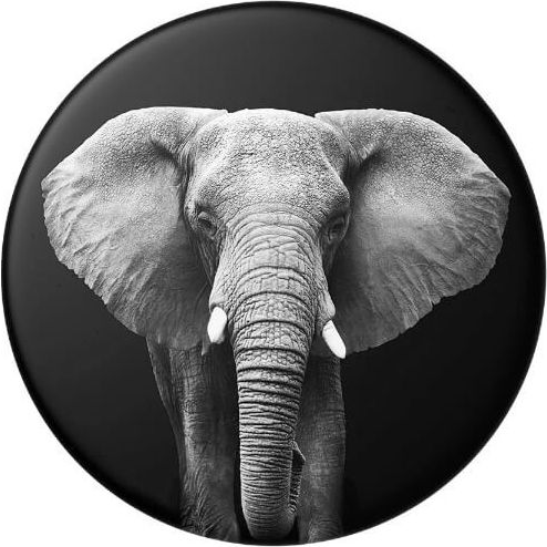 Popsockets 2 Loxodonta Africana 801686 telefonra ragasztható fogantyú (ME-PS-A170)