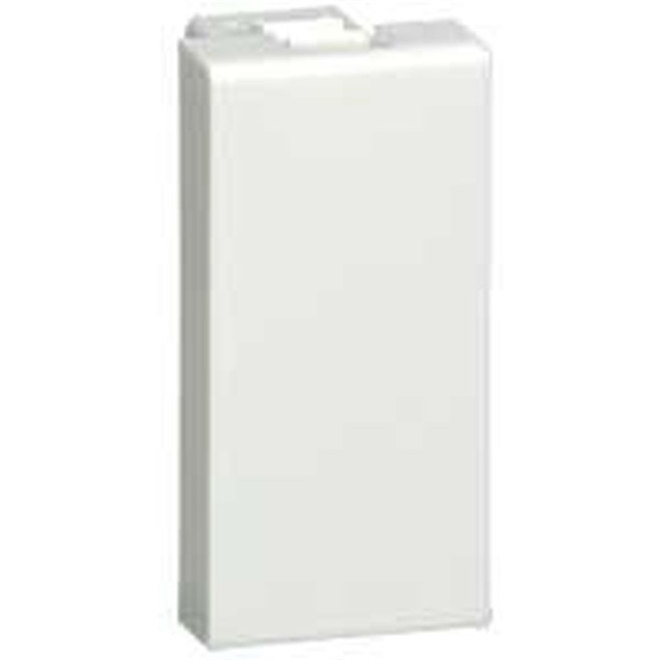Legrand Mosaic Wit