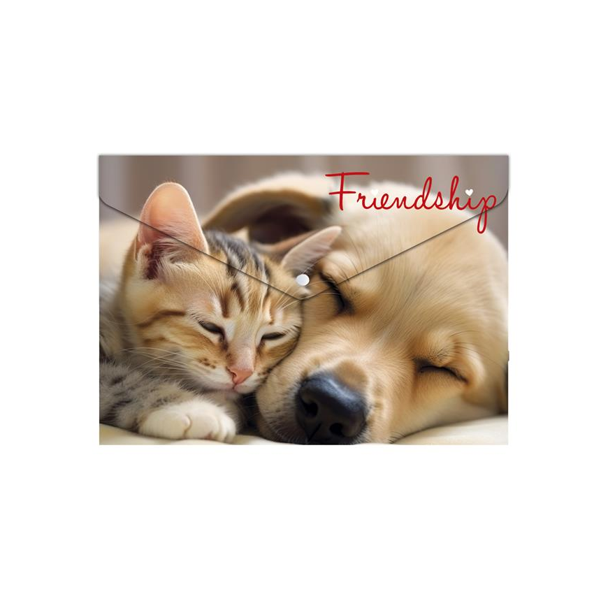 Panta Plast Friendship A5 180 mikronos irattartó tasak - Mintás (0410-0069-55)