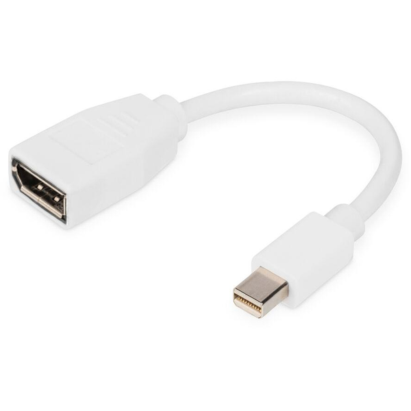 Adaptér Mini DisplayPort - DisplayPort 1.2 4K 60Hz