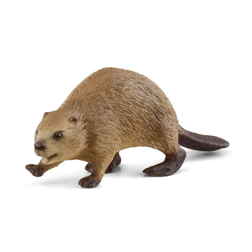 schleich WILD LIFE Beever (14855)