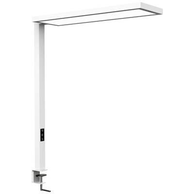 Maul (8258902) LED-es ráépíthető lámpa LED A fényforrászt elektromos szakember cserélheti 18 W Fehér (8258902)