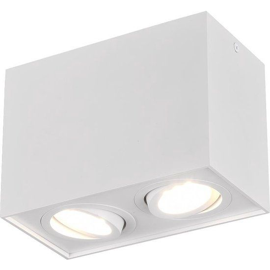 Trio Lighting Осветително тяло за таван Biscuit, двусветово, бяло