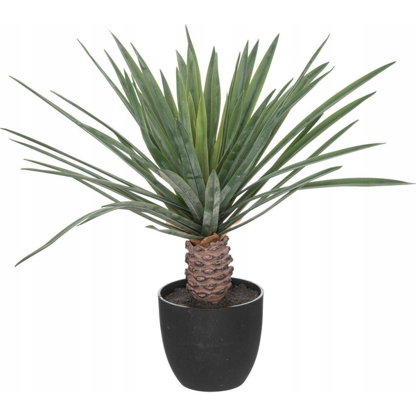 Atmosphera Sztuczna palma jak żywa w czarnej donicy, wys. 52 cm