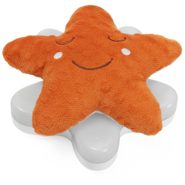 Chicco 00012385000000 educatief speelgoed