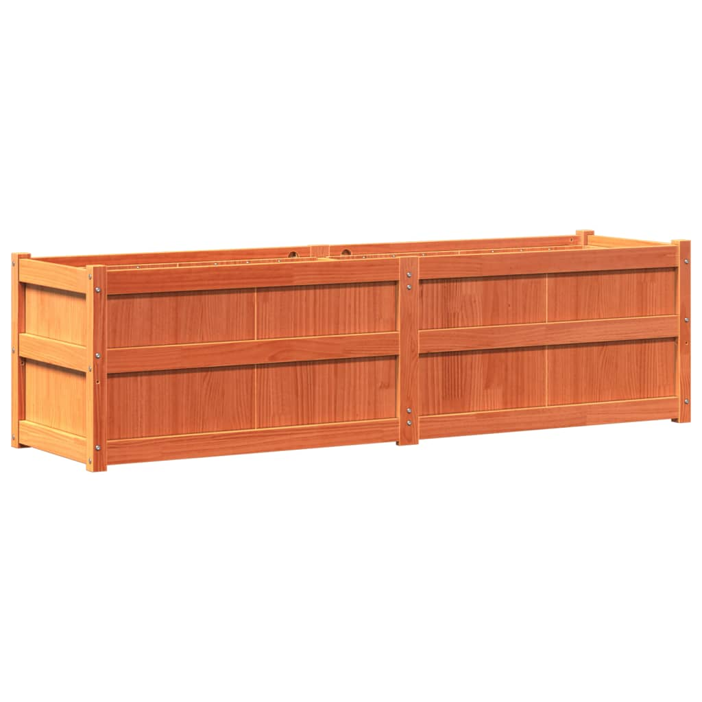viaszbarna tömör fenyőfa kerti virágláda 180 x 50 x 50 cm (837506)