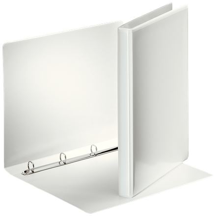 Esselte Panorámás gyűrűskönyv fehér (49700)