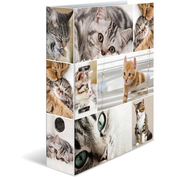 HERMA Ordner A4 Katzen