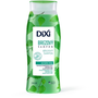 Dixi Březový šampon podporující růst vlasů pro normální vlasy 250 ml