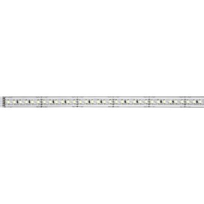 Удължителна LED лента Paulmann 24 V 100 см Дневна светлина бяла MaxLED 1000 70675 (70675)