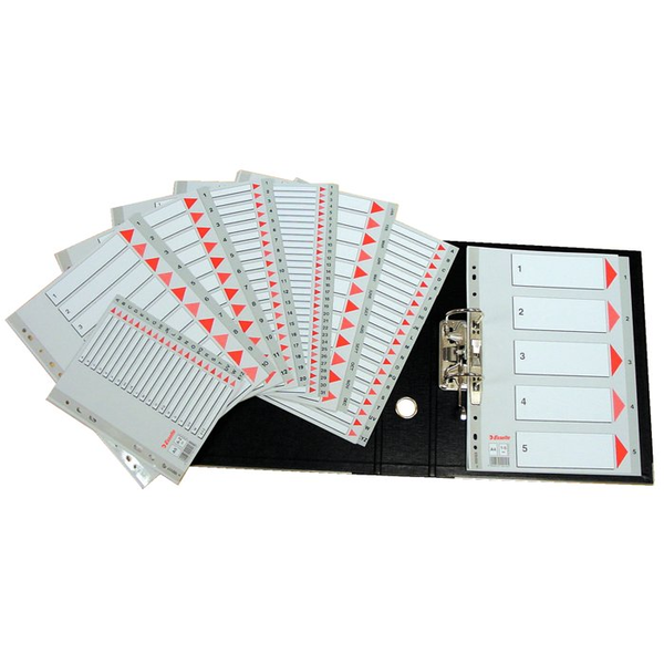 Esselte 100103 intercalare Indice a linguetta numerico Polipropilene (PP) Grigio