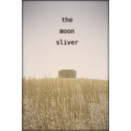 The Moon Sliver (PC - Steam elektronikus játék licensz)