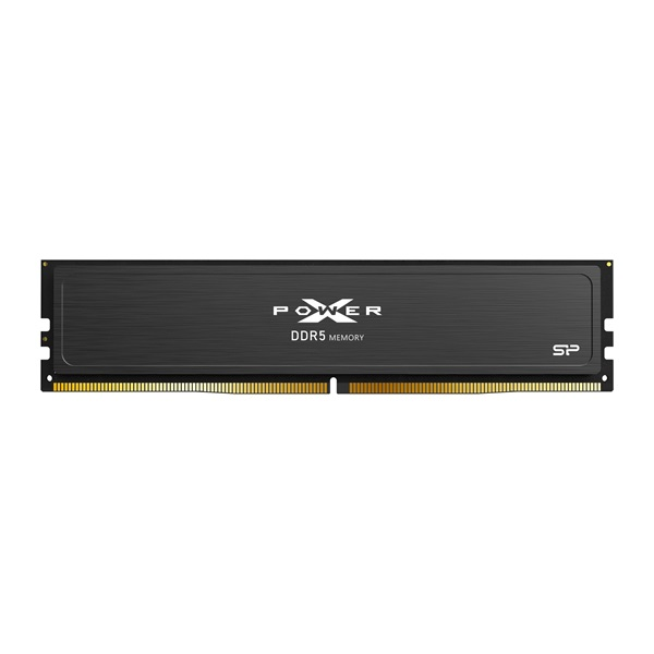 Pamäť RAM DDR5 Silicon Power 16 GB 5600 40 (SP016GXLWU560FSJ)