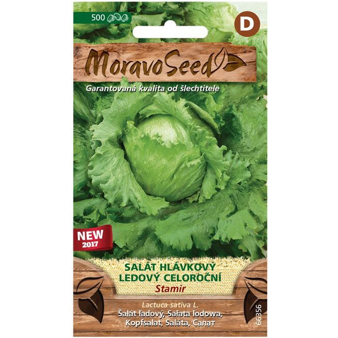 Jégsaláta STAMIR, egész évben termő (3552mm)