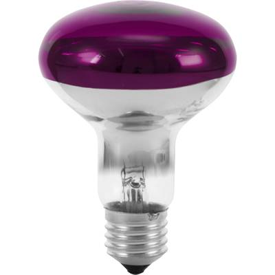 Eurolite 9210440U Halogén E27 Reflektor 60 W Viola (Ø x H) 80 mm x 110 mm 1 db (9210440U)